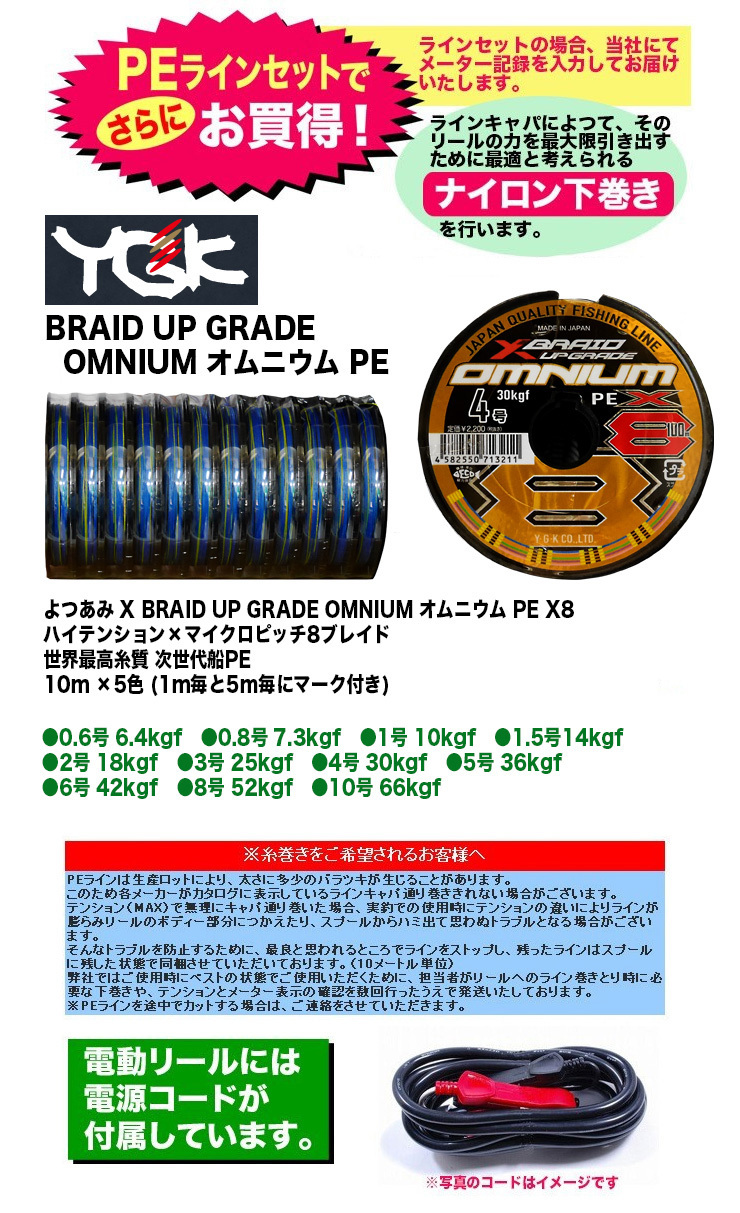 DAIWA（ダイワ） 21 シーボーグ G300J PE4号-300m オムニウムセット
