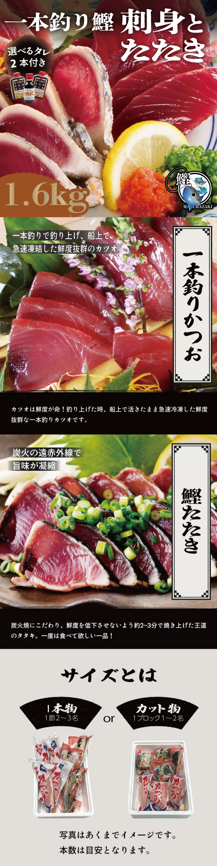 爆買 敬老祝 一本釣り炭焼かつおたたき＆鰹さしみ1.6kg （4〜7本