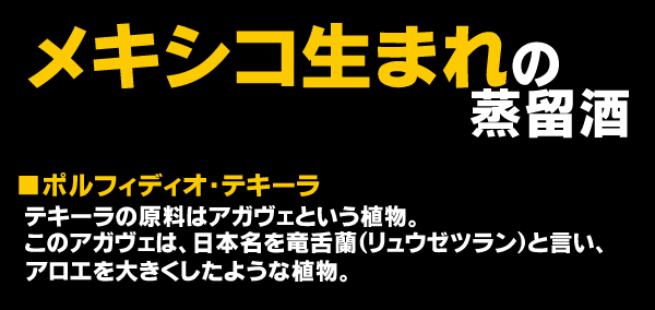 ポルフィディオ　プラタカクタス　ブルー　アガヴェ竜舌欄　10000円値引き ポルフィディオプラタカクタス39.9 750ml（並行品）*ブルー