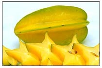 スターリー by ディタ 700ml 24度 リキュール リキュール種類 : お酒の