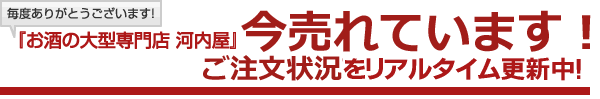 今売れています!ご注文状況をリアルタイム更新中！