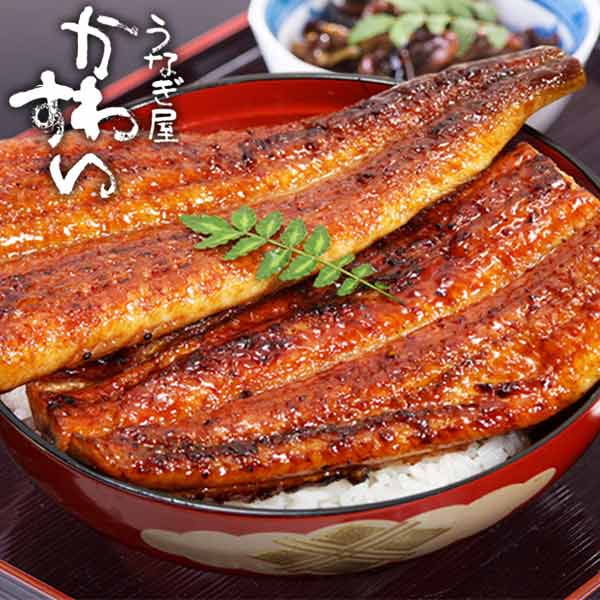 セール商品