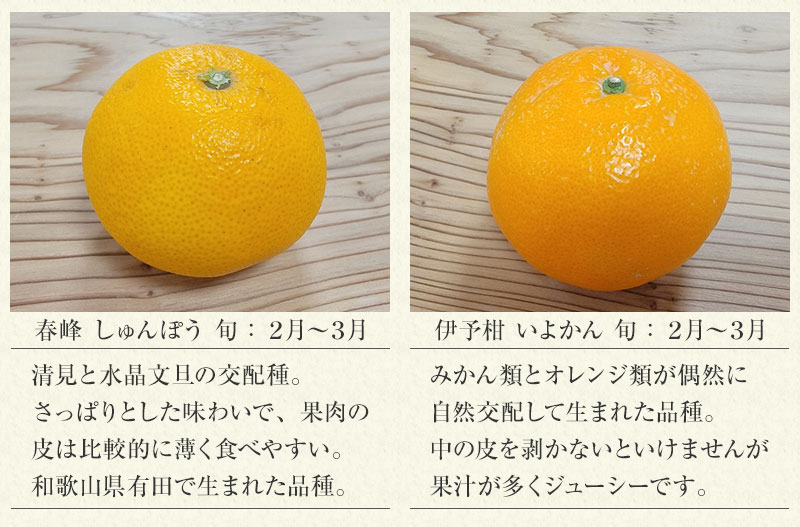 536)数量限定 甘すぎる 小玉 せとか みかん 有田産 みかん 果物