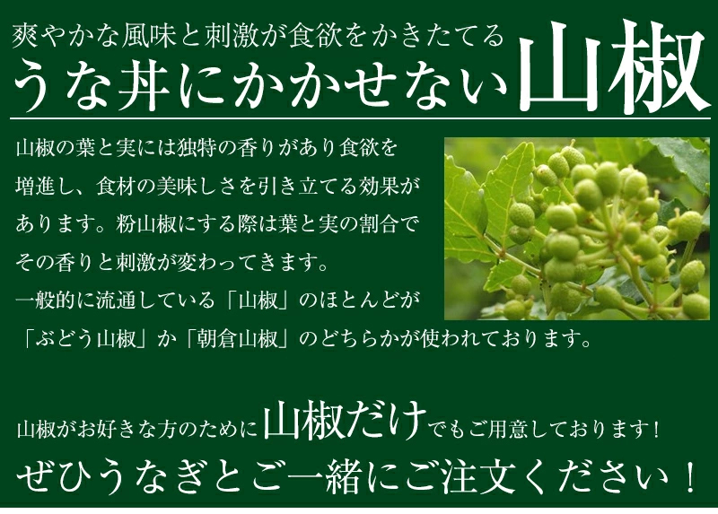 爆売りセール開催中 中袋タイプ 約25回分 和歌山県産ぶどう山椒 当店オリジナルブレンド 粉山椒 さんしょう うなぎ蒲焼き 調味料 香辛料 スパイス  薬味 columbiatools.com