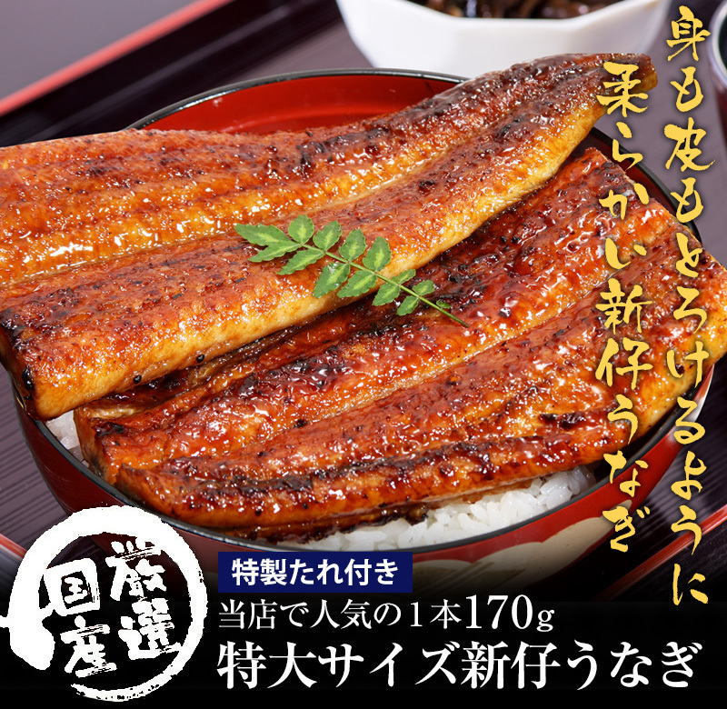 10/31(火)13:59までの販売 新仔 うなぎ 蒲焼き 国産 特大サイズ170g