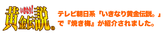 いきなり黄金伝説