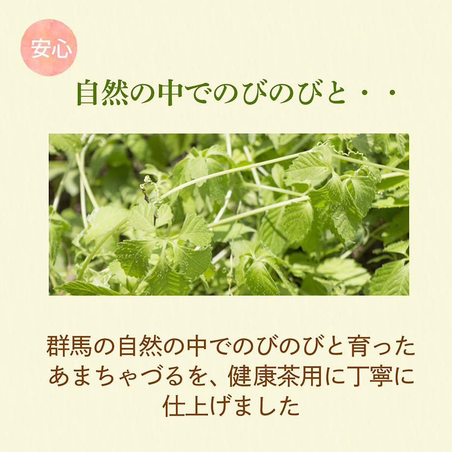 アマチャヅル茶 50g 国産 : 川本屋茶舗 お茶 スイーツギフト