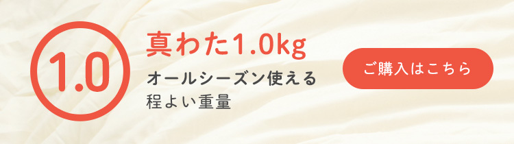 日本製 真わた掛け布団 真綿布団 あったかフィット