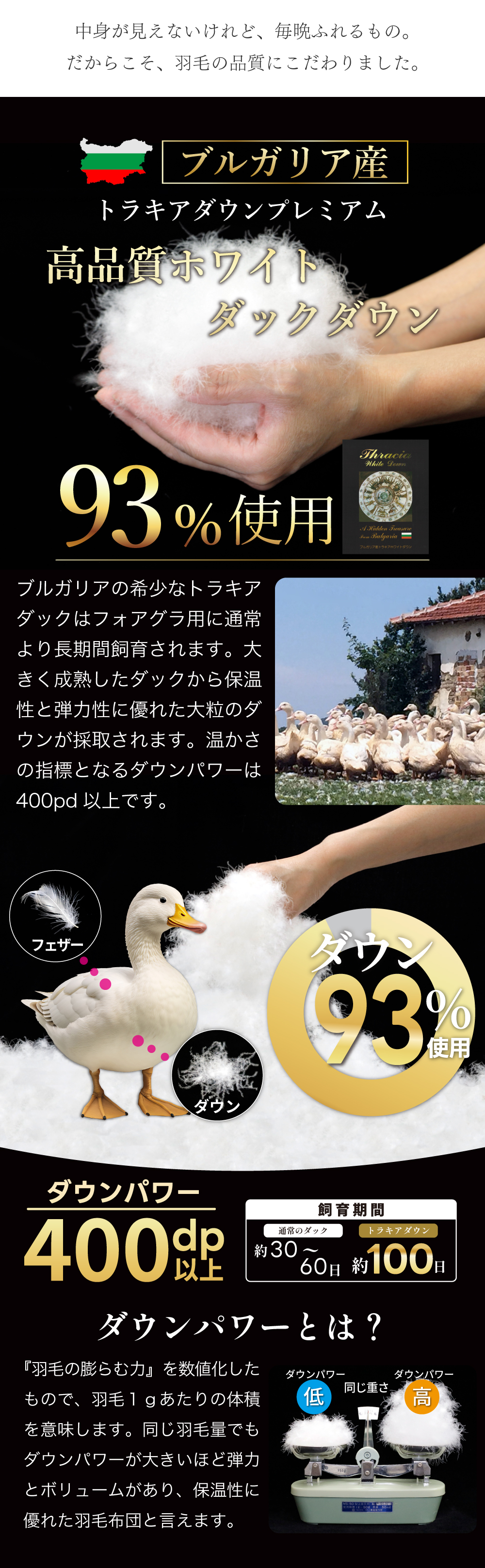 水鳥羽毛100%　毛布セット 羽毛布団 肌掛け シングル 洗える 日本製 春用 夏用 ホワイトダック