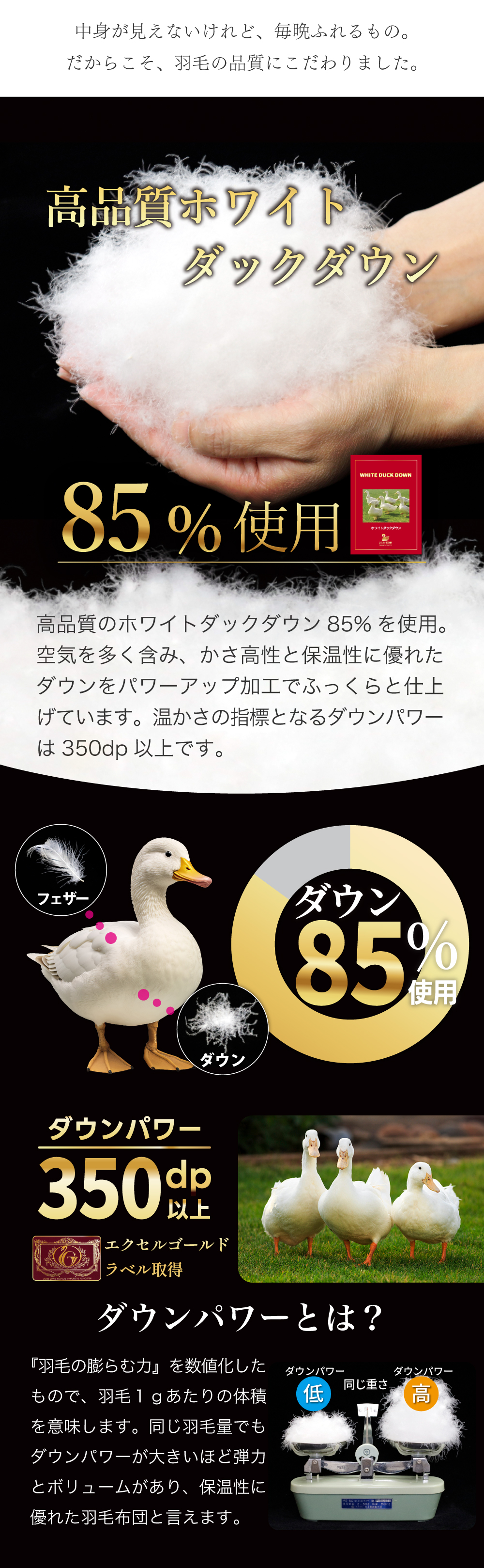 羽毛布団 肌掛け シングル 洗える 日本製 春用 夏用 ホワイトダック