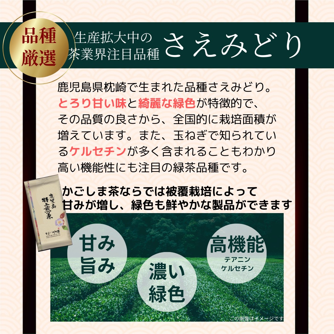 新茶 予約 2025 お茶 お茶の葉 鹿児島茶 知覧 深蒸し 鹿児島特上