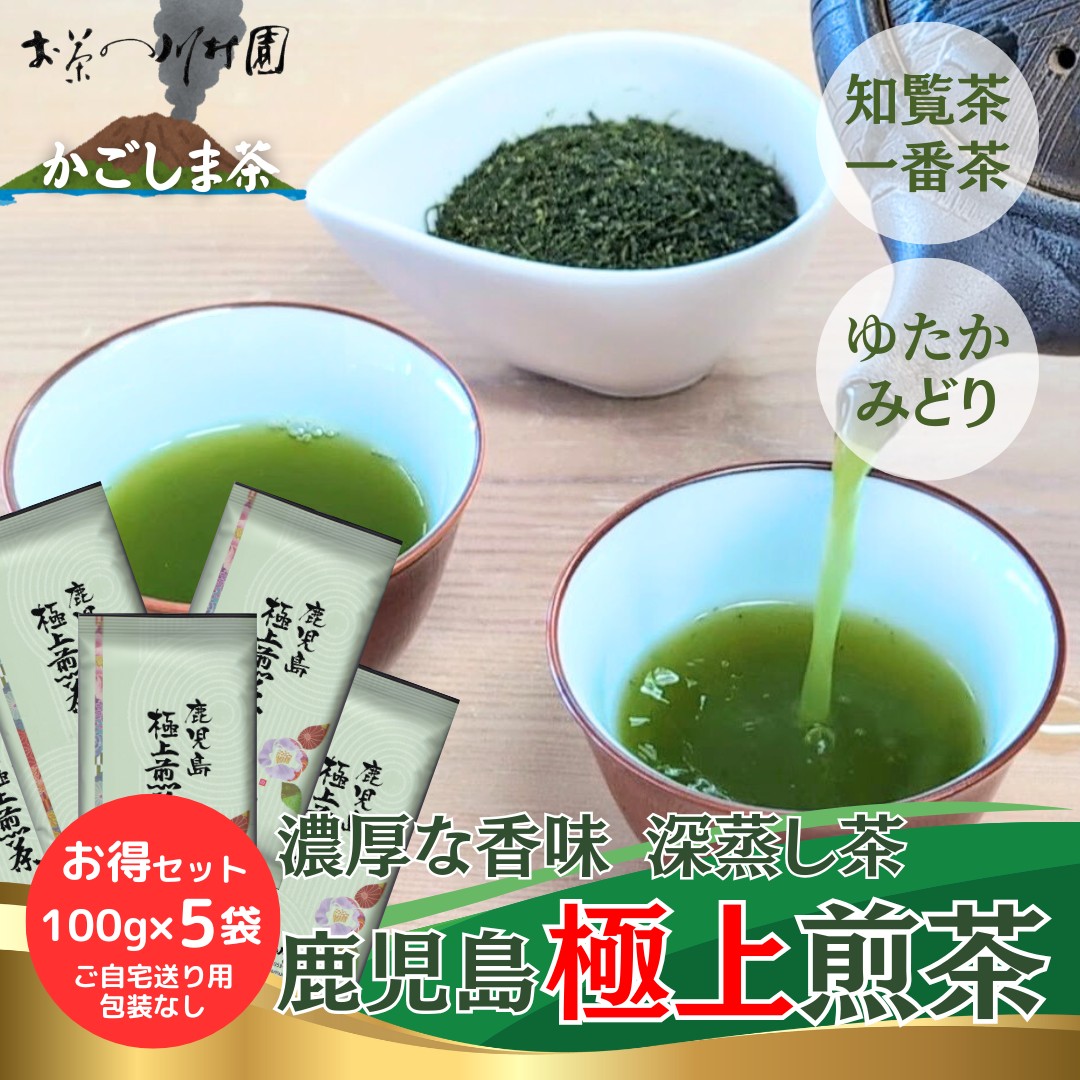 お茶 高級茶 知覧茶 鹿児島極上煎茶 100g×5袋 お徳用セット お得 お茶の葉 深蒸し茶 日本茶 老舗 ゆたかみどり 包装不可 新茶予約はじめました
