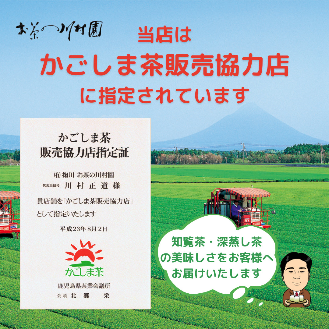 新茶です。特選 知覧茶 2,000g 大容量 緑茶 お茶 緑茶 ] 有機栽培茶 知覧茶 金印 深むし茶 100g×2本セット