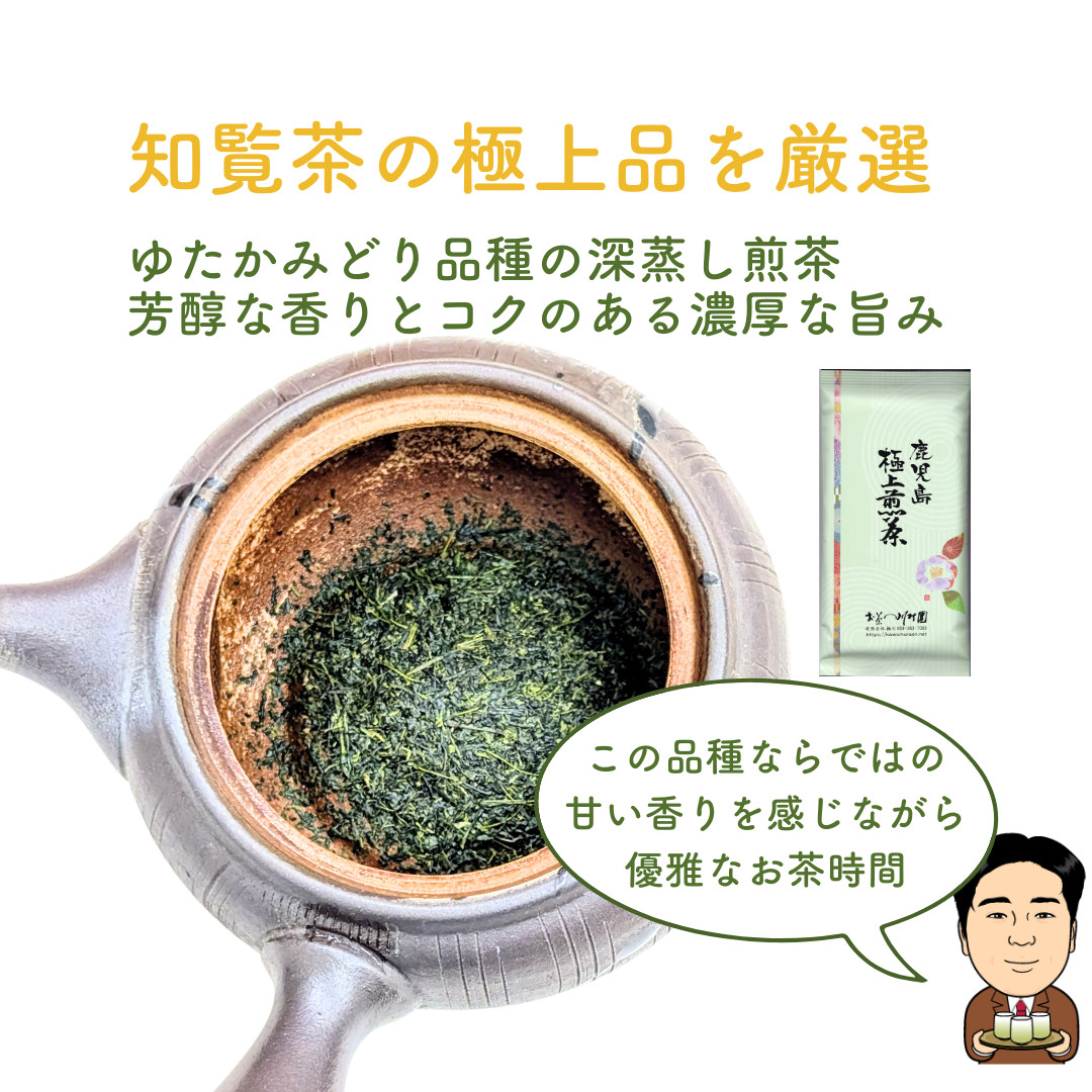 お茶 緑茶 ギフト ] ティーバッグ 3g×30袋 ×3本セット 鹿児島県