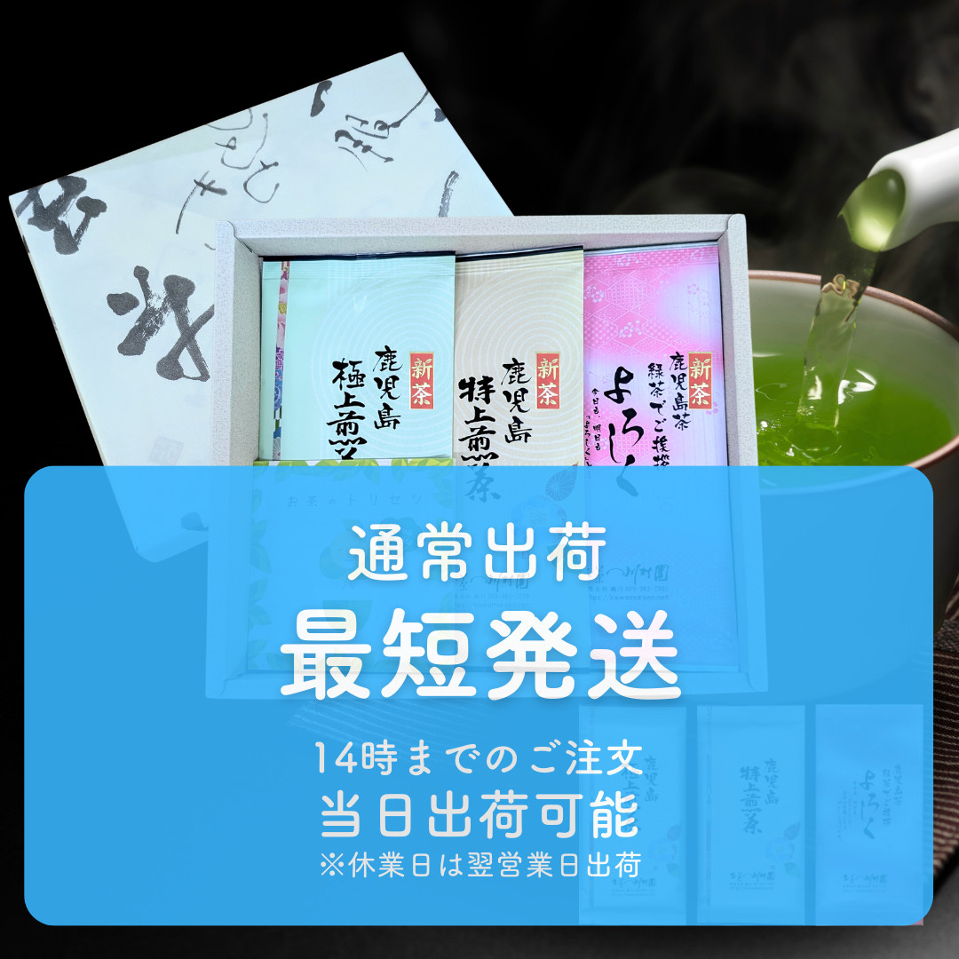 お中元 父の日 母の日 お茶 新茶 知覧茶 深蒸し茶 老舗日本茶