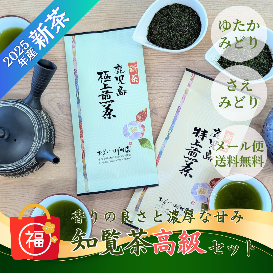 新茶 2025 お茶 お茶の葉 鹿児島茶 知覧茶 深蒸し 福袋 100g×2