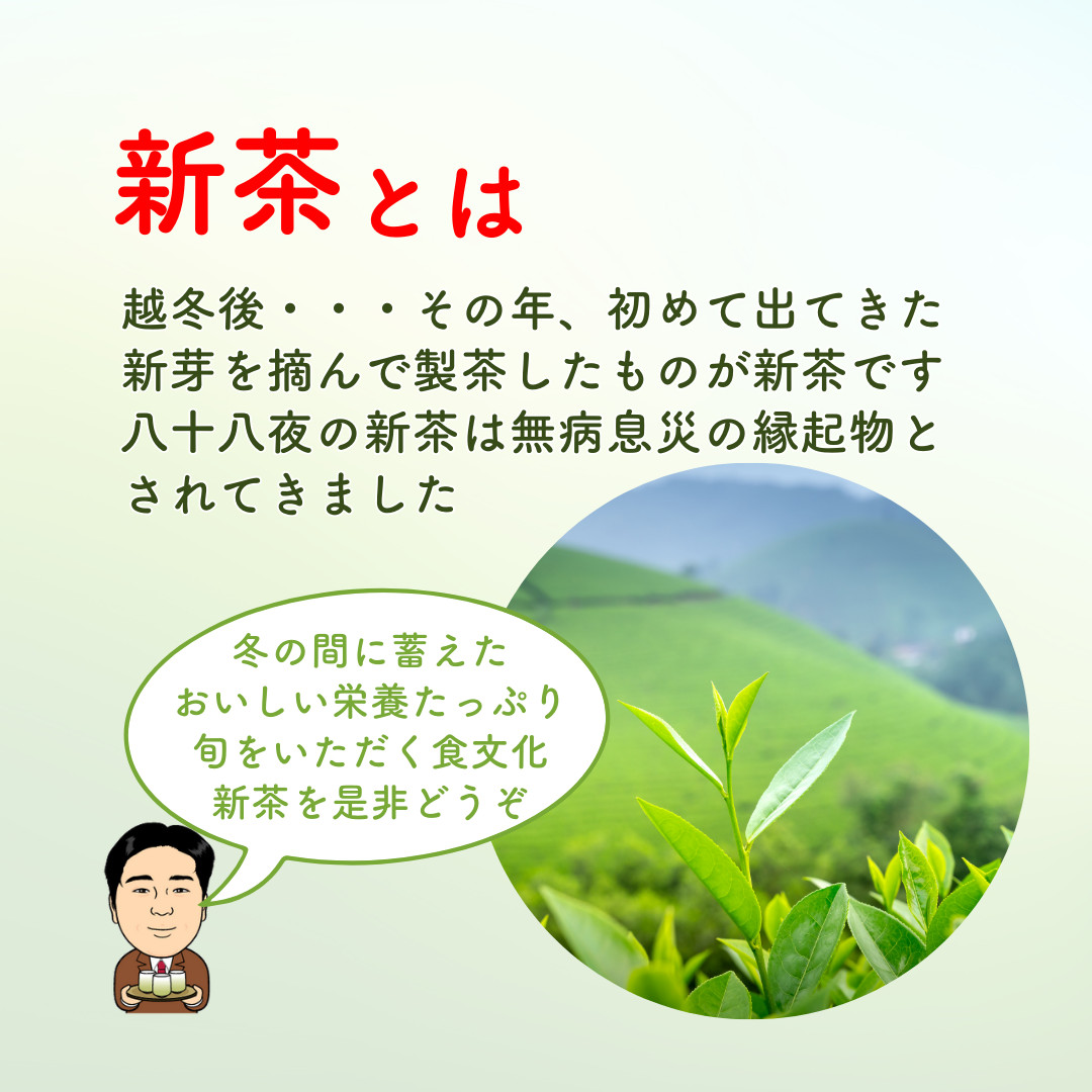 お中元 父の日 ギフト お茶 新茶 伊勢茶 伊勢特上新茶 80g×2袋
