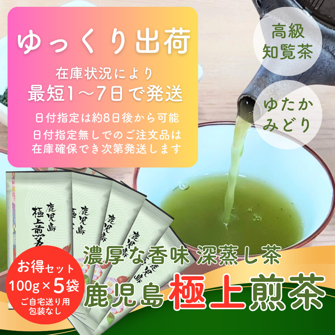 お茶 お茶の葉 知覧茶 鹿児島極上煎茶 100g×5袋 お徳用セット