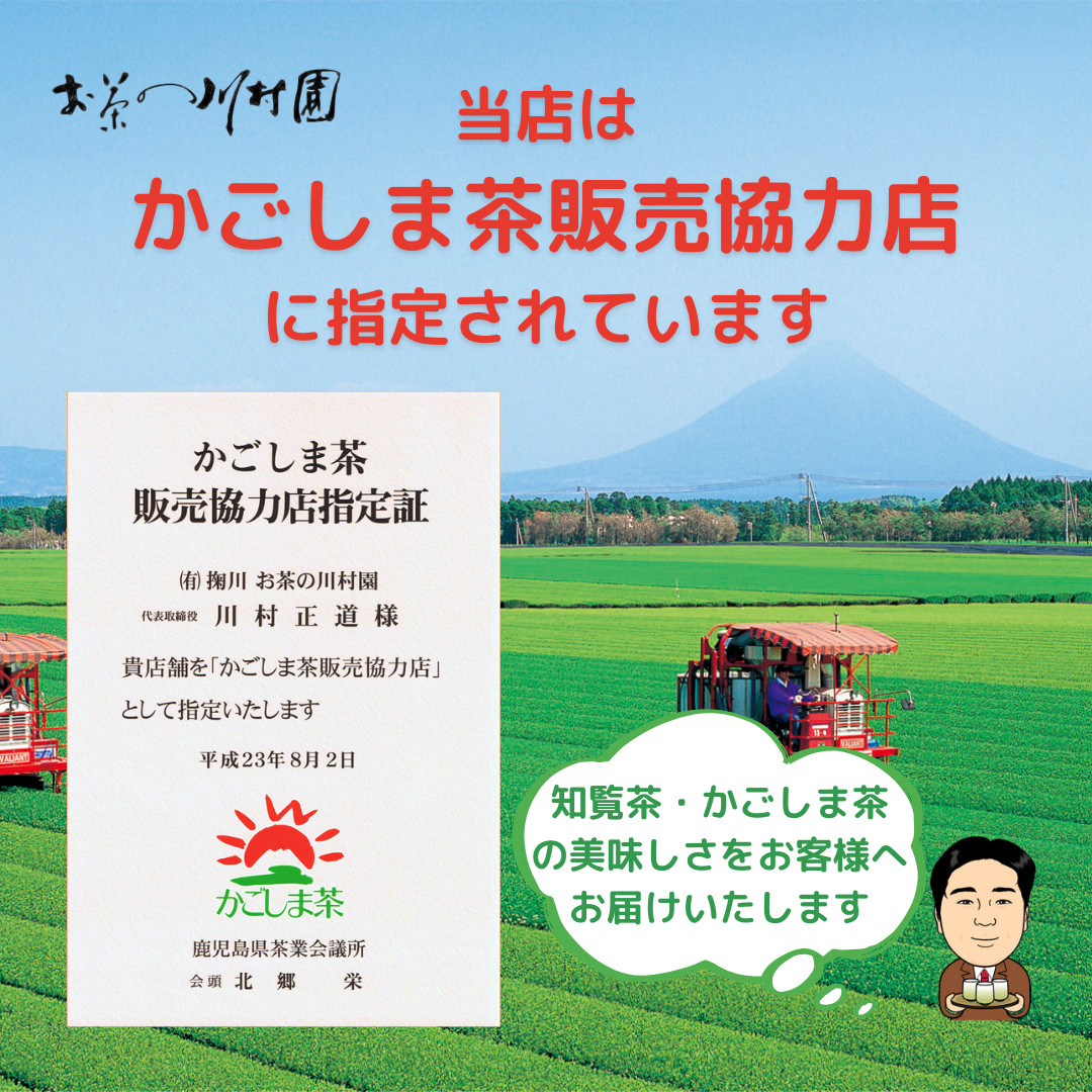 販売終了）新茶 2026 鹿児島 知覧茶 極上新茶 50g 深蒸し煎茶 ゆたか