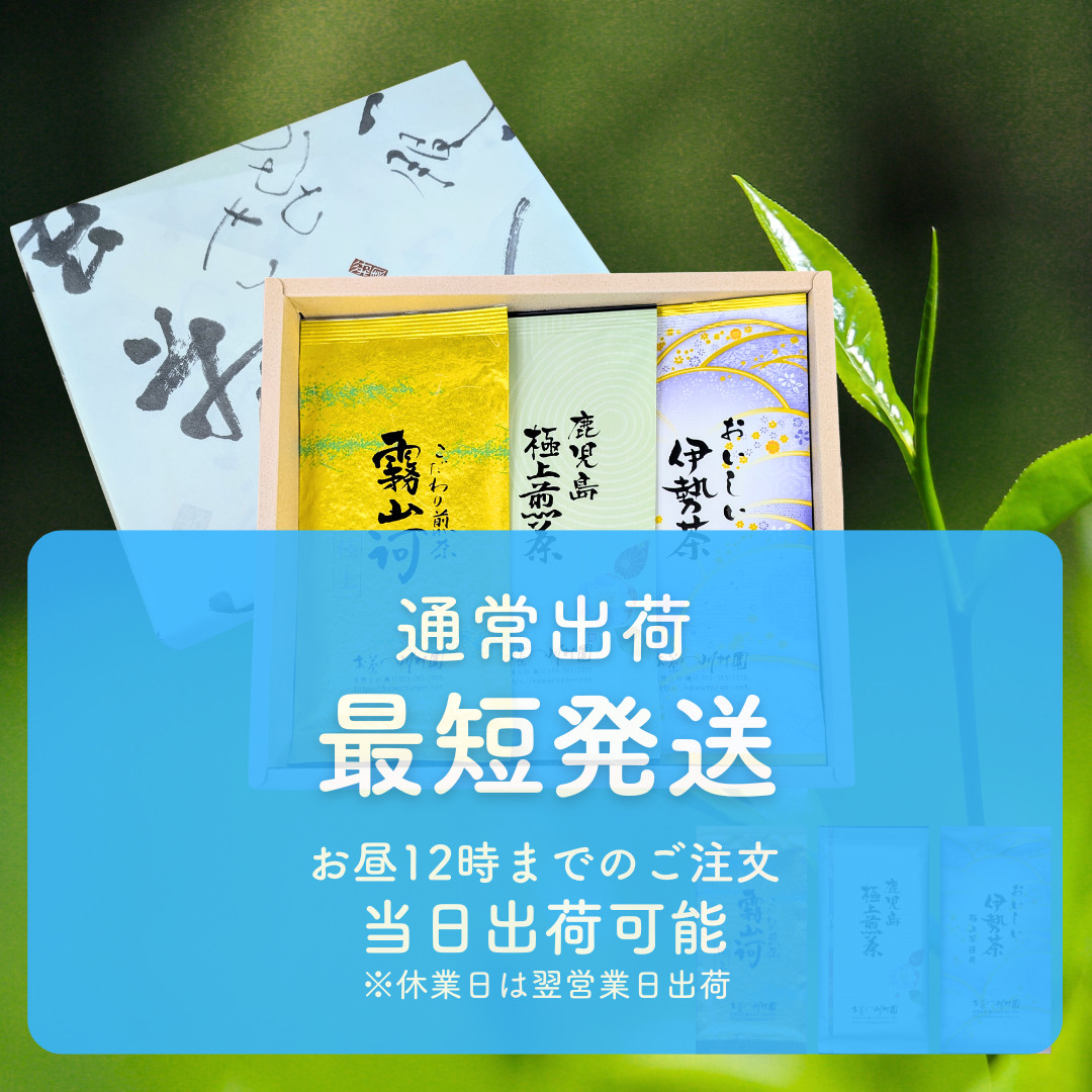 お中元 父の日 お茶 新茶 ギフト 高級 日本茶三大産地の極上煎茶飲み