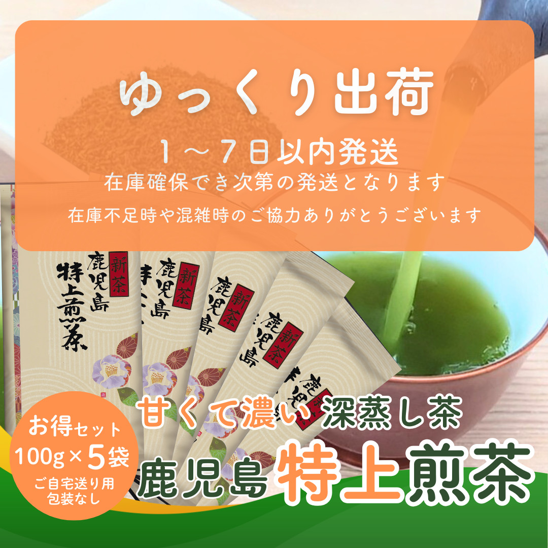 新茶 2026 お茶 知覧茶 鹿児島特上煎茶 100g×5袋 お徳用セット さえ