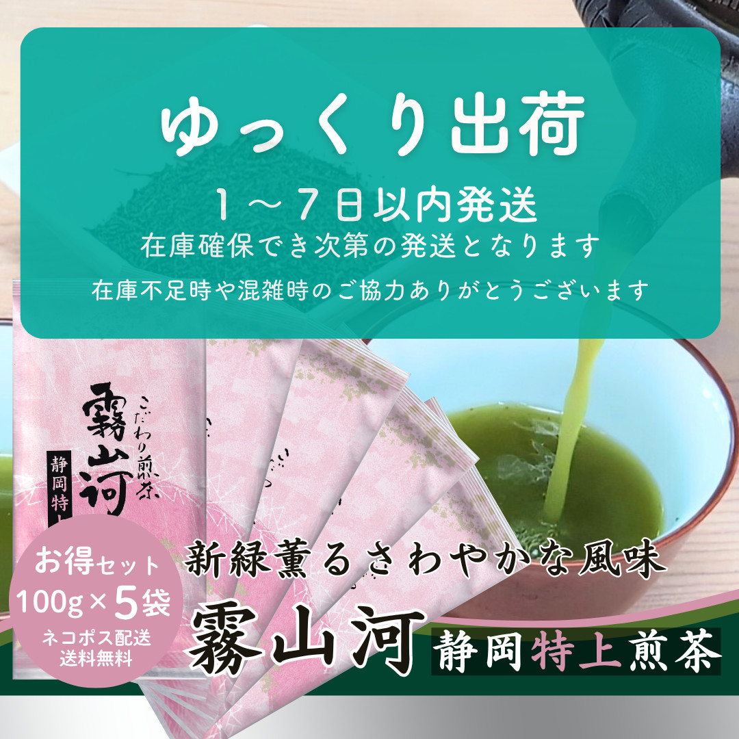新茶 お茶 お茶の葉 静岡茶 「霧山河 静岡特上」100g×5袋 お徳用セット