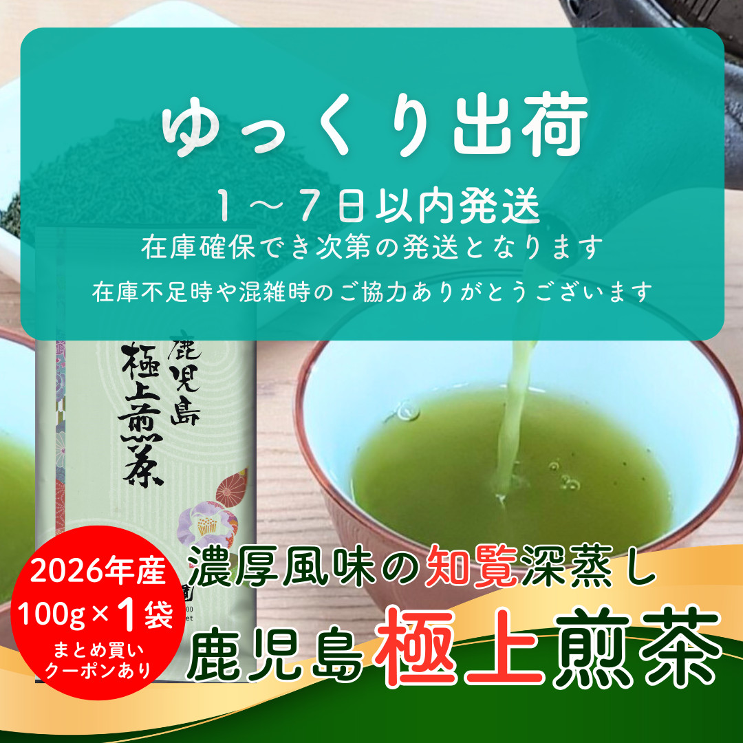 お茶 知覧茶 鹿児島極上煎茶 100g 高級茶 深蒸し茶 新茶 2026年産