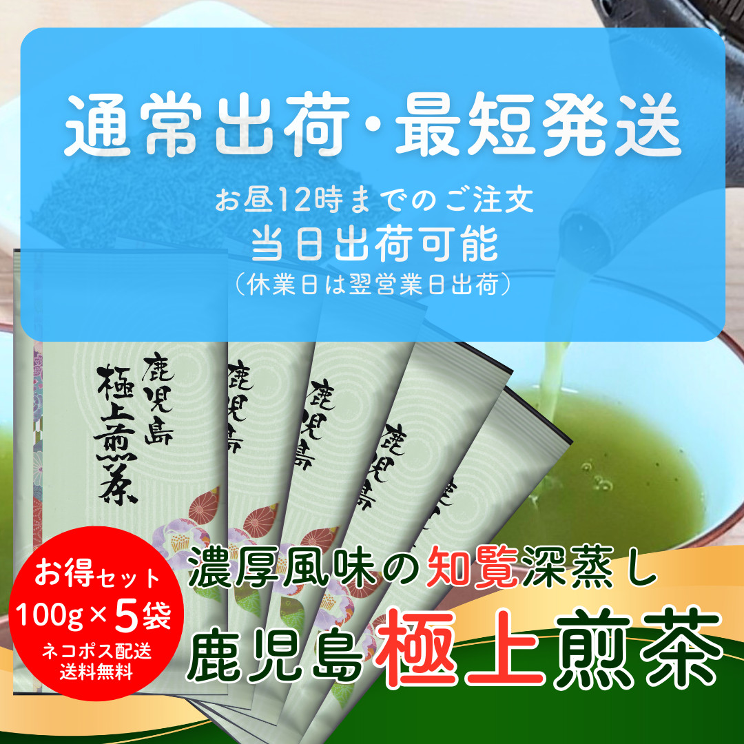 お茶 知覧茶 鹿児島極上煎茶 100g×5袋 お徳用セット 包装不可 爆買