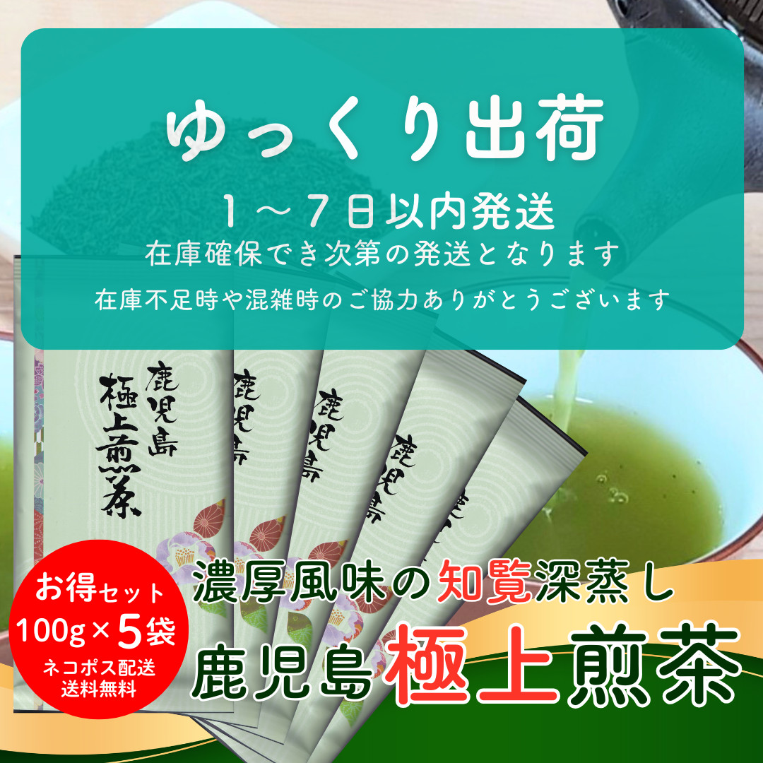 お茶 知覧茶 鹿児島極上煎茶 100g×5袋 お徳用セット 包装不可 爆買