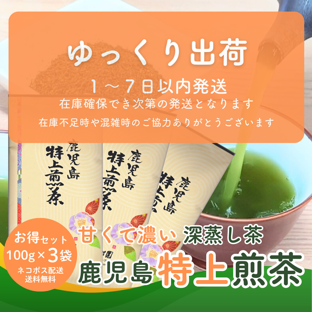 お茶 お茶の葉 知覧茶 鹿児島特上煎茶 100g×3袋 メール便配送セット