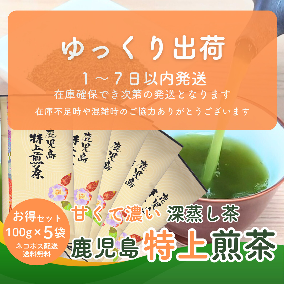 お茶 お茶の葉 知覧茶 鹿児島特上煎茶 100g×5袋 お徳用セット さえ