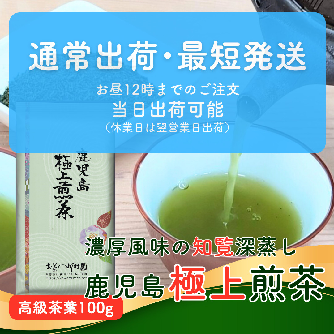お茶 知覧茶 鹿児島極上煎茶 100g 高級茶 深蒸し茶 新茶 2026年産