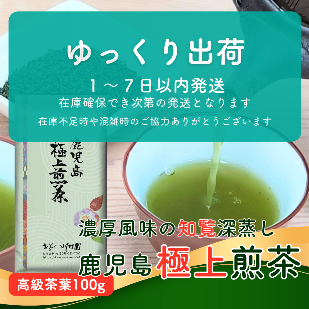 お茶 知覧茶 鹿児島極上煎茶 100g 高級茶 深蒸し茶 新茶 2026年産