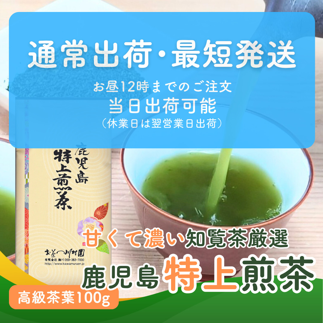 お茶 お茶の葉 知覧茶 鹿児島特上煎茶 100g さえみどり 深蒸し茶 2026