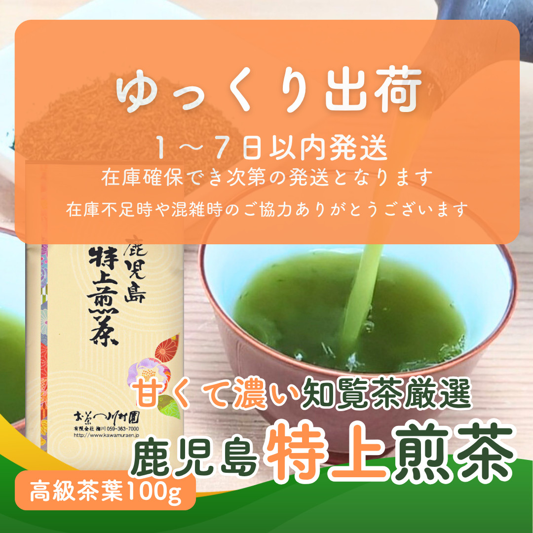 お茶 お茶の葉 知覧茶 鹿児島特上煎茶 100g さえみどり 深蒸し茶 2026