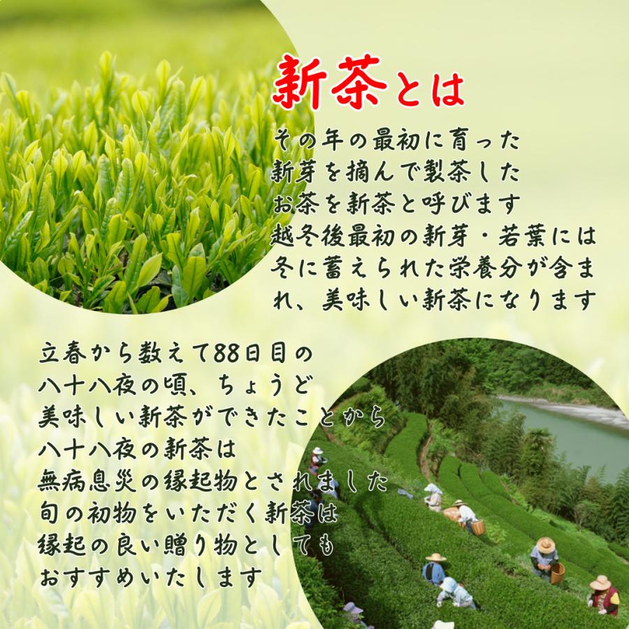 新茶 2025 知覧 深蒸し 鹿児島極上煎茶100g お茶 お茶の葉 緑茶 新茶 2025 知覧 深蒸し 鹿児島極上煎茶100g お茶 お茶の葉 緑茶