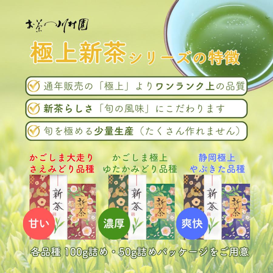 父の日 お中元 お茶 ギフト 2026年産 新茶 飲み比べ 静岡茶 知覧茶