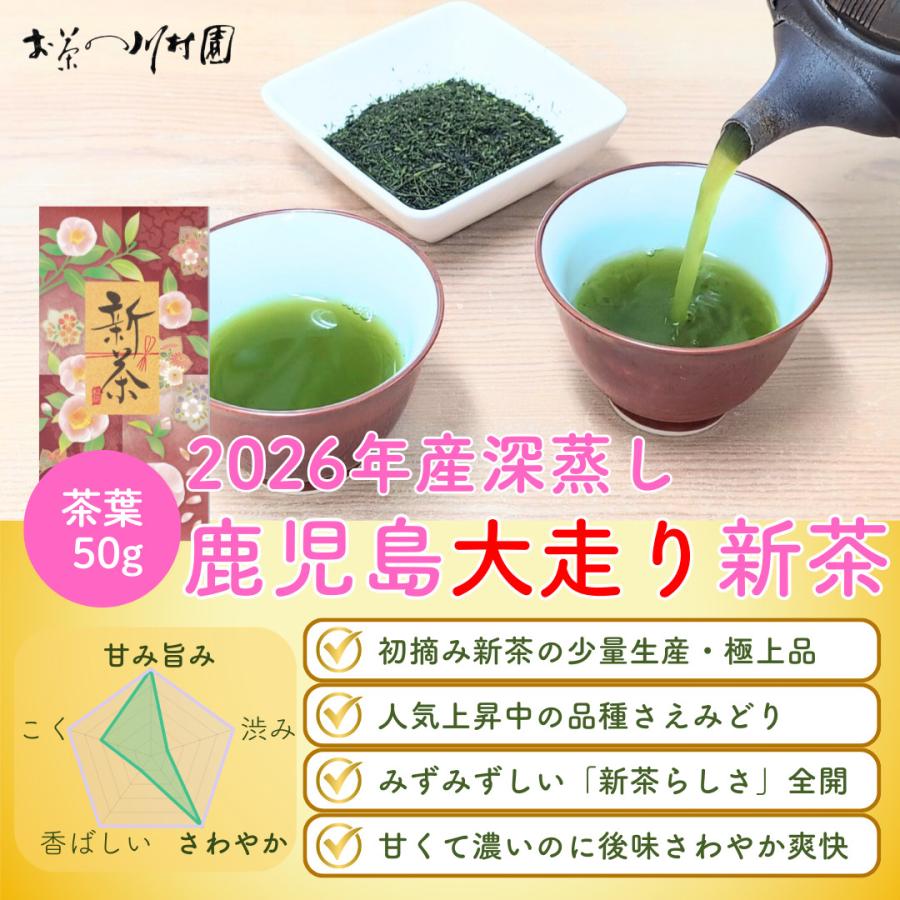 父の日 お中元 お茶 ギフト 2026年産 新茶 飲み比べ 静岡茶 知覧茶
