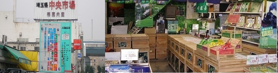 銘茶問屋川根のお茶や ヘッダー画像