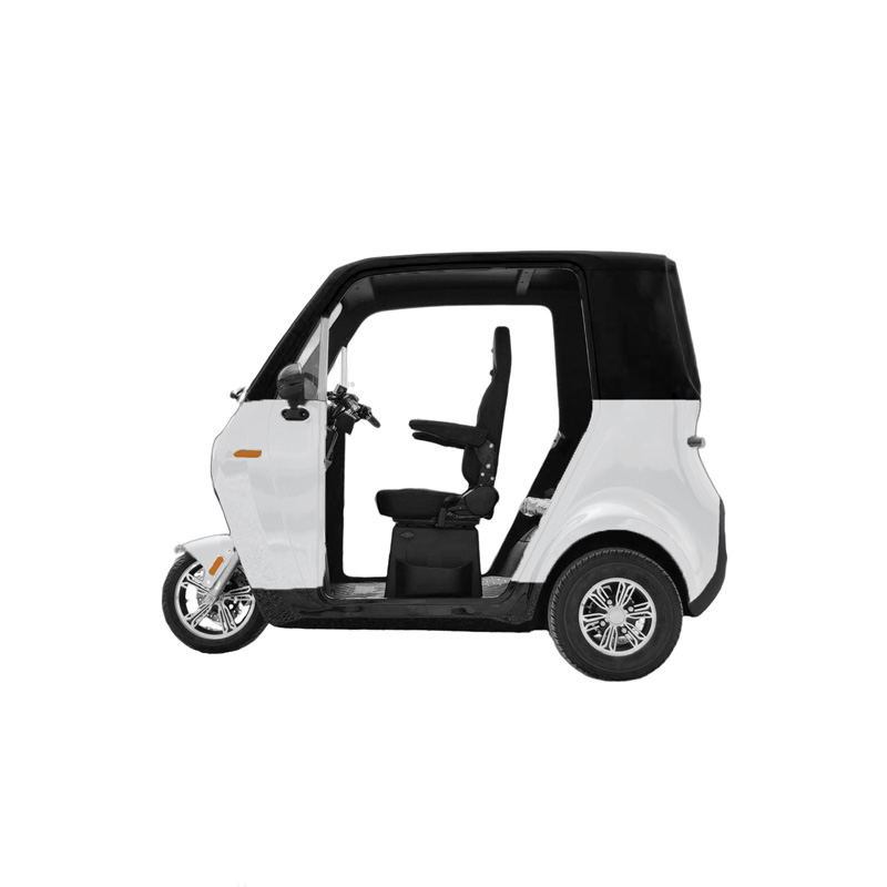 EQV CAMP 限定カラー 超小型 ev 2人 乗り 電動バイク 3人 乗り EV トゥクトゥク トライク TukTuk 三輪バイク 側車軽二輪 ミニ トゥクトゥク 河西商事 EV : tuktuk-color : 河西商事 - 通販 - Yahoo!ショッピング