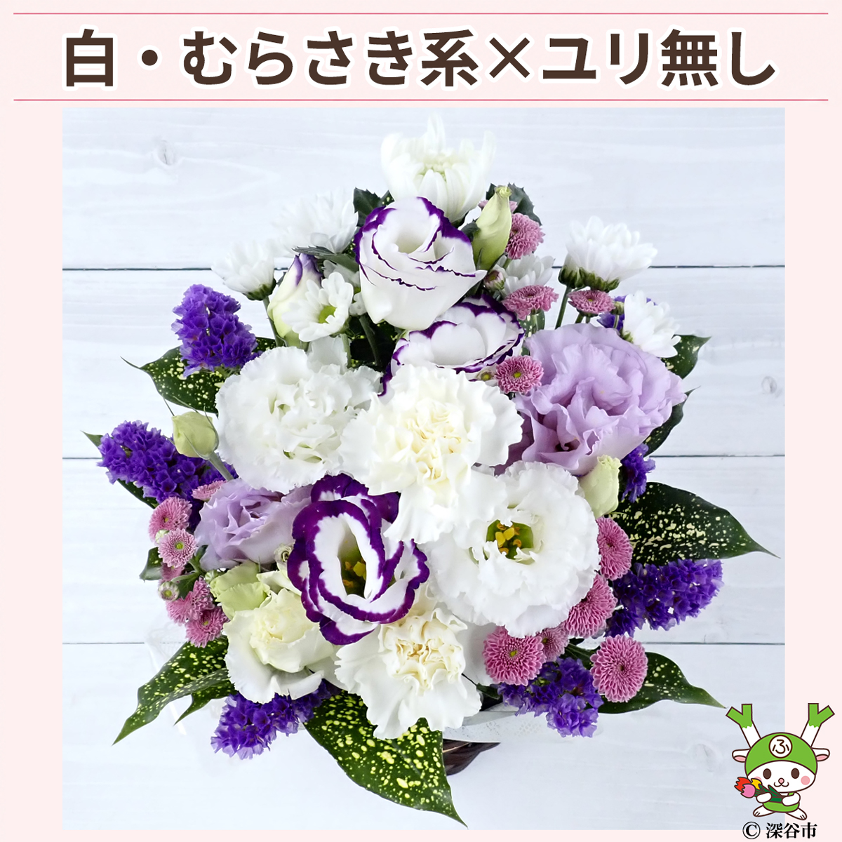 ユリ無し白むらさき