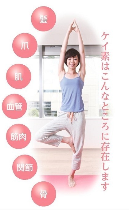 ケイ素は身体のこんなところに。