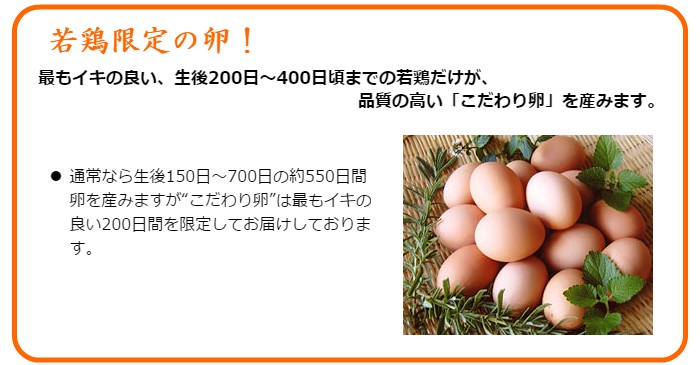 若鶏限定