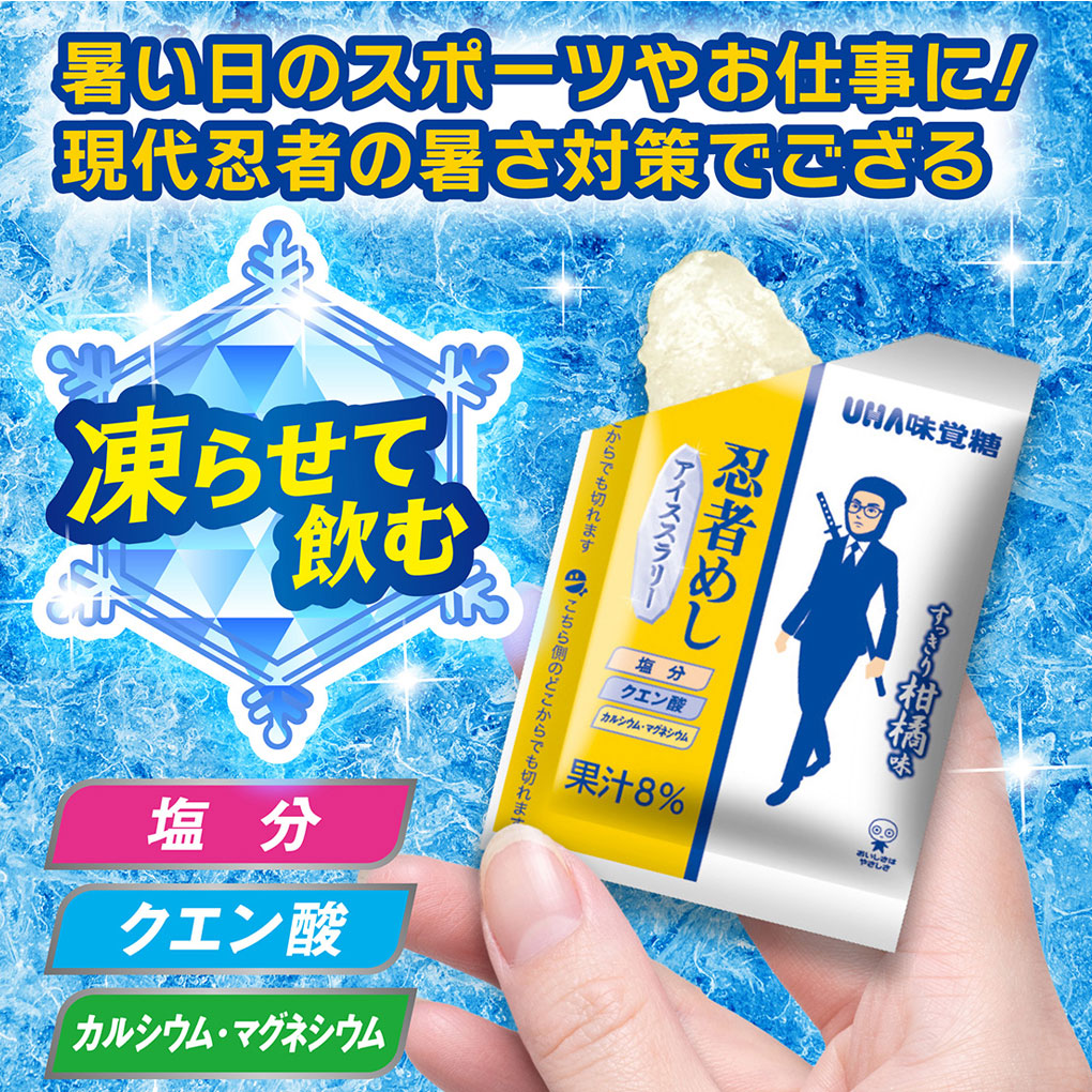 忍者めし アイススラリー すっきり柑橘味 5袋 (1袋8個入) 熱中症対策