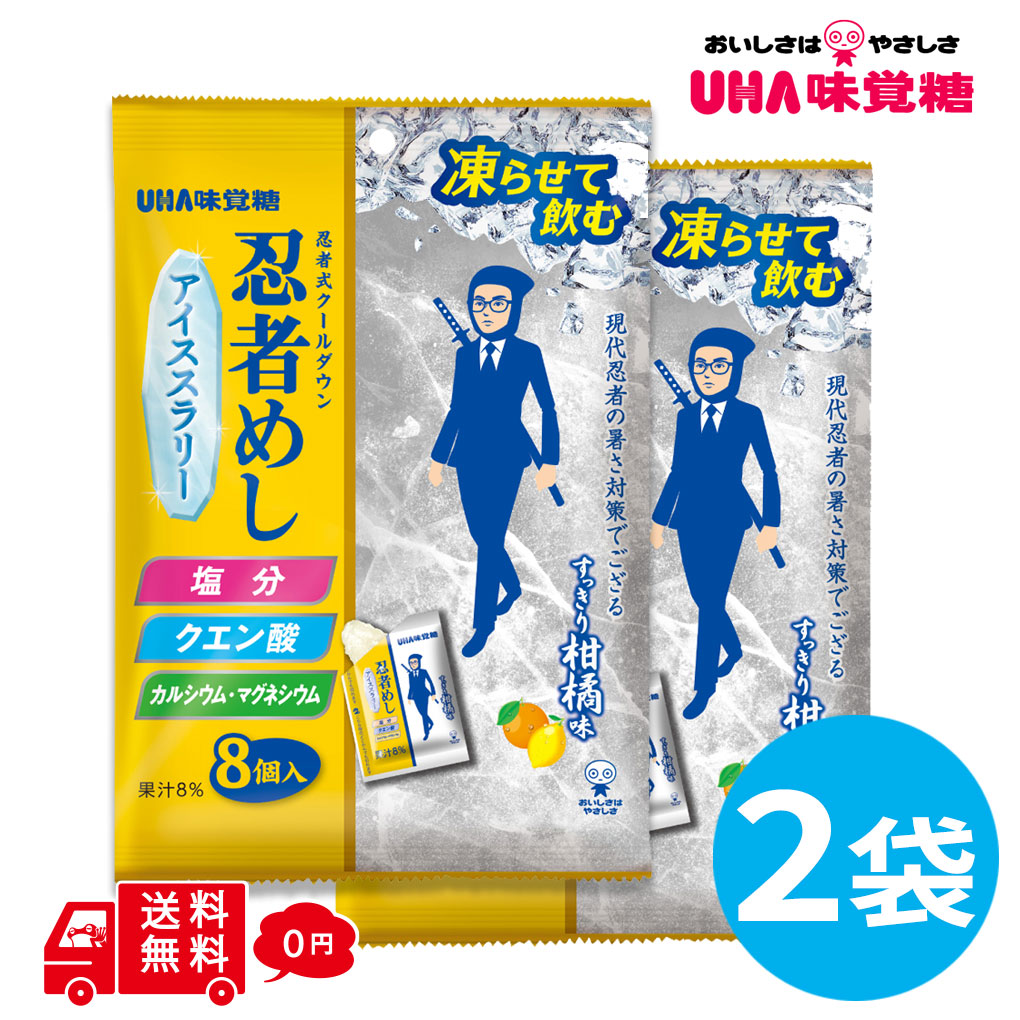 食糧補充3枚、忍耐の記念碑1枚セット 忍者めし アイススラリー すっきり柑橘味 2袋 (1袋8個入) 熱中症対策