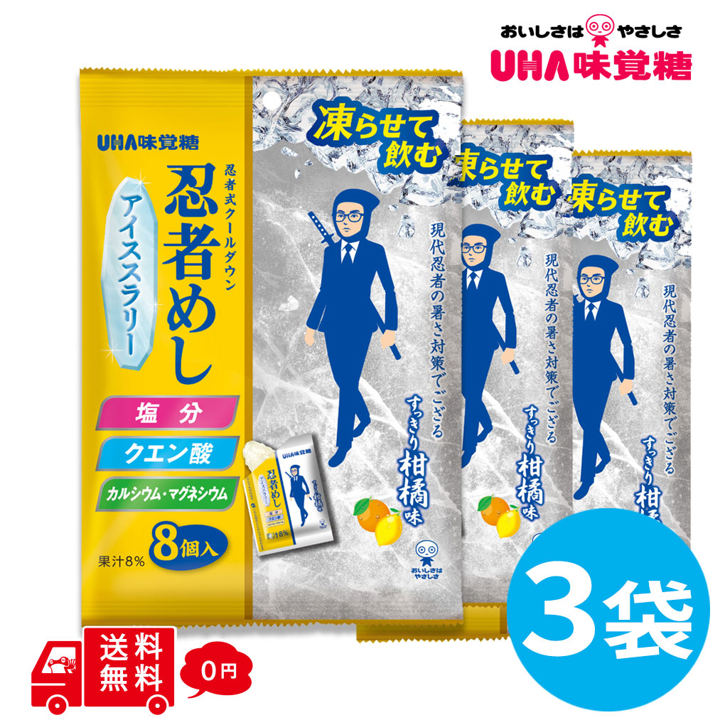 食糧補充3枚、忍耐の記念碑1枚セット 忍者めし アイススラリー すっきり柑橘味 3袋 (1袋8個入) 熱中症対策