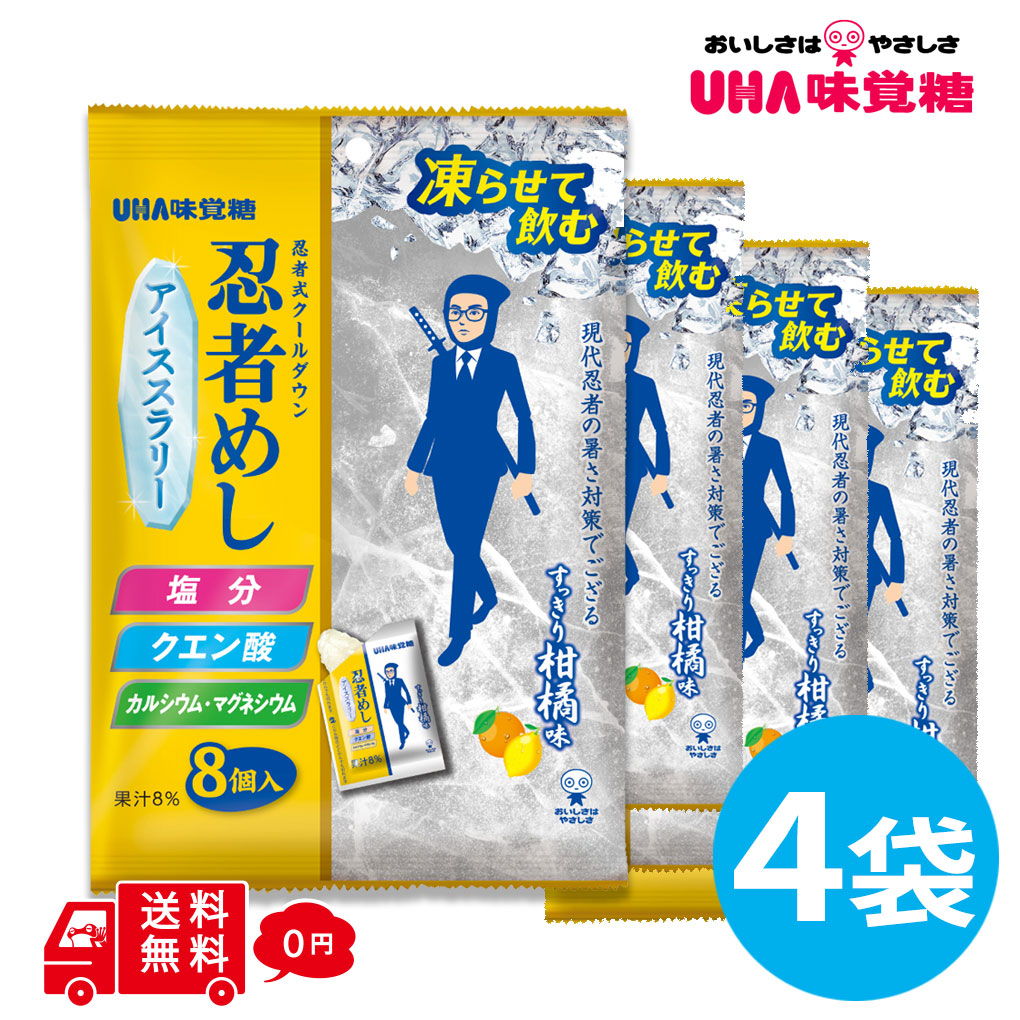 忍者めし アイススラリー すっきり柑橘味 4袋 (1袋8個入) 熱中症対策