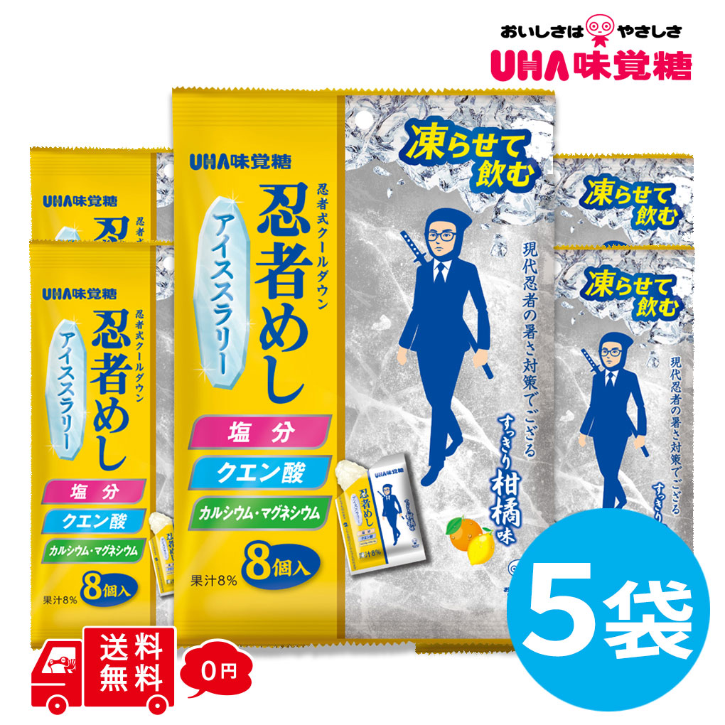 忍者めし アイススラリー すっきり柑橘味 5袋 (1袋8個入) 熱中症対策