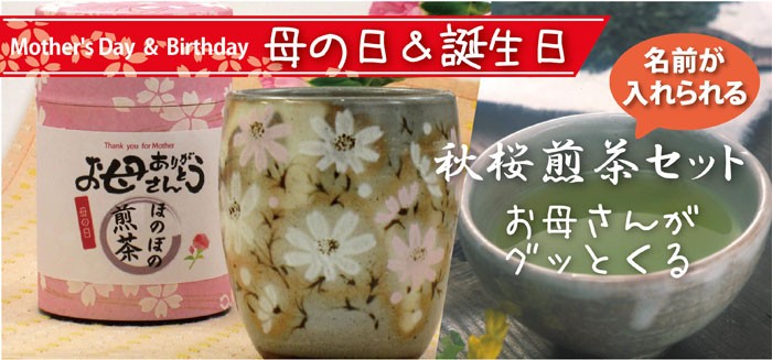 母の日特集