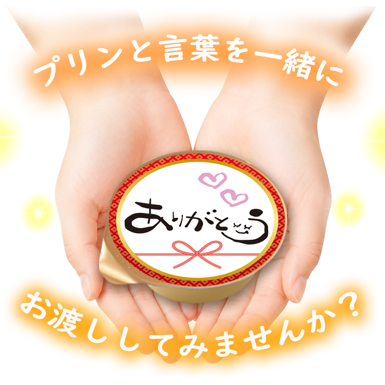 送料無料 筆文字 3個入 名入れプリン ラッピング付き 風見鶏ぷりん 名